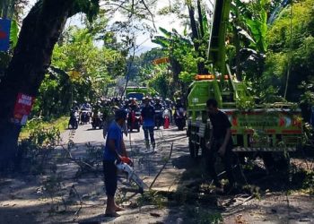 Cegah Truk Tabrak Pohon, DLH Karangasem Lakukan Pemangkasan Dahan