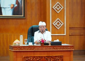 Gubernur Koster Komit Bawa Perubahan Regulasi OSS “Daerah Bukan Sekadar Penonton”