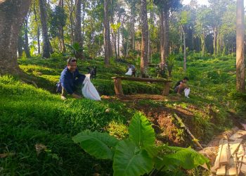 Klarifikasi KPH Bali Utara Soal Dugaan Pembabatan Hutan di Ambengan, Bukan Aktivitas Ilegal