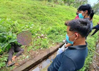 Terbongkar, Tiga Pekerja Diduga Gorok Leher Mandor di Gianyar akibat Rasa Dendam