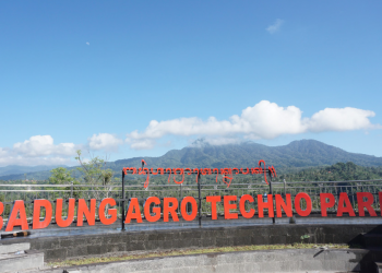 Badung Agro Techno Park Makin Terintegrasi, Dari Pelatihan Barista hingga Kopi Produktif