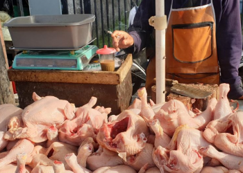 Harga Sembako Jelang Galungan Cenderung Stabil, Ayam Tetap Rp 46 Ribu