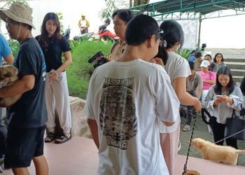 Sterilisasi dan Vaksinasi Rabies Gratis di Badung Ramai, Masyarakat Sambut Antusias