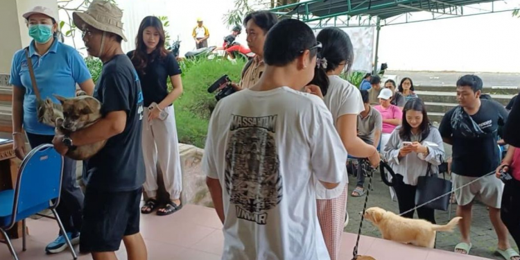 Sterilisasi dan Vaksinasi Rabies Gratis di Badung Ramai, Masyarakat Sambut Antusias