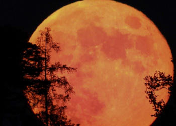 Supermoon Ancam Pesisir Selatan Bali, BMKG Ingatkan Potensi Banjir Rob