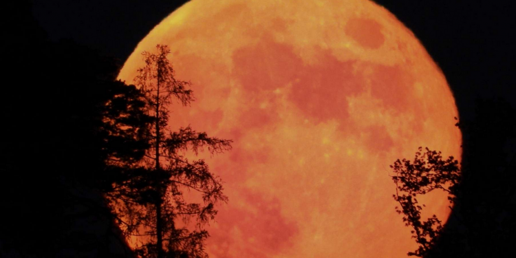 Supermoon Ancam Pesisir Selatan Bali, BMKG Ingatkan Potensi Banjir Rob