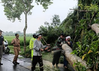Bali Tetapkan Status Siaga Bencana Cuaca Ekstrem hingga Februari 2026
