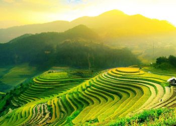 Ketika Bali Terpilih Sebagai World’s Best Destination 2026: Kemenangan yang Tak Datang Tiba-Tiba