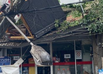 Pohon Berusia Ratusan Tahun Tumbang di Puri Sosrobahu Ubud