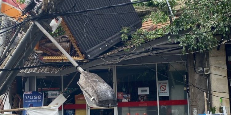 Pohon Berusia Ratusan Tahun Tumbang di Puri Sosrobahu Ubud
