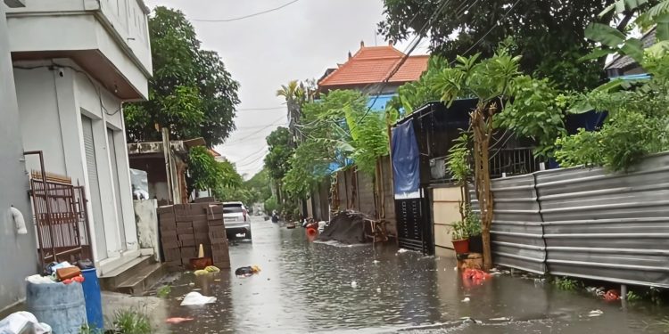 Cuaca Ekstrem Landa Bali: Pohon Tumbang, Longsor, hingga Denpasar Terendam Banjir 80 Cm