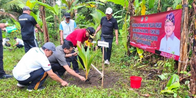 Gubernur Koster Tanam Ribuan Bibit Kelapa di Karangasem, Pastikan Produksi Arak Bali Berkelanjutan
