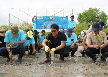 Tanam 1.000 Mangrove di Tahura Bali, Wagub Giri Prasta: Benteng Gelombang Laut dan Wisata Edukasi