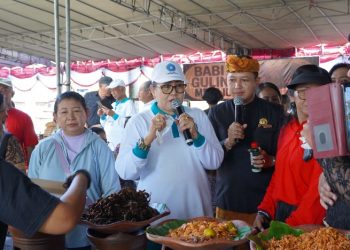 Gairahkan Ekonomi Warga, PKK Bali Gelar Pasar Rakyat dan Tebar Bantuan di Tabanan