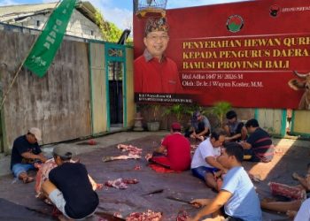 Momentum Idul Adha, Bapak Wayan Koster Serahkan Sapi Kurban untuk Umat Muslim Bali