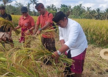 I Putu Eka Mahardhika Bawa Pesan Ngempu Subak, Petani Subak Timbul Didorong Naik Kelas