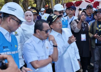 Bali Dapat Kuota PLTS 1.000 MWp, Gubernur Koster Siapkan Lahan hingga 1.500 Hektare