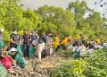 Jelang Tumpek Wayang, Forkopimda dan Perangkat Daerah se-Bali Bersihkan Lingkungan, Angkut 3,56 Ton Sampah
